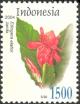 ID005.04.jpg