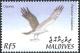 MV021.02.jpg