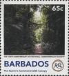 BB009.18.jpg