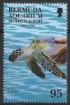 Colnect-1340-186-Turtle.jpg