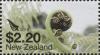 NZ049.16.jpg