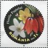 RO037.16.jpg