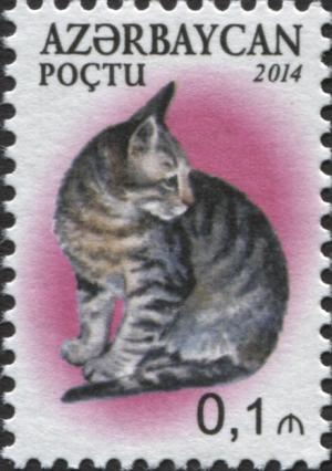 AZ022.14.jpg