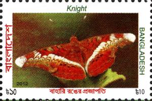 BD017.12.jpg