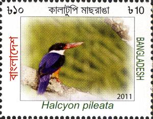 BD040.11.jpg