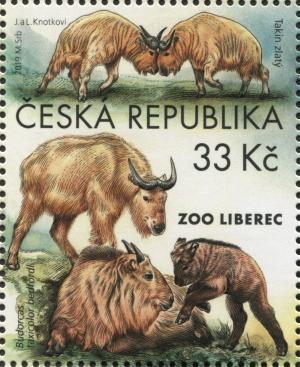 CZ023.19.jpg