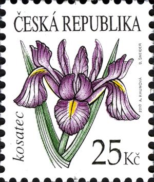 CZ030.10.jpg