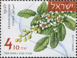 IL001.17.jpg