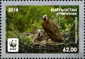 KG019.14.jpg