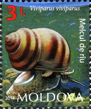 MD030.14.jpg