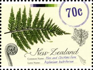 NZ005.13.jpg