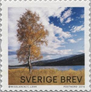SE046.16.jpg