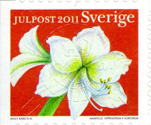SE053.11.jpg