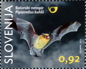 SI034.14.jpg