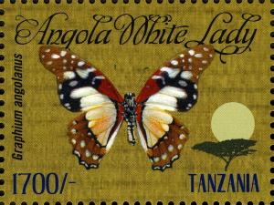 TZ008.12.jpg