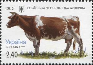 UA026.15.jpg