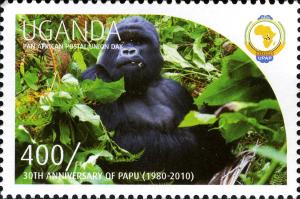 UG012.11.jpg