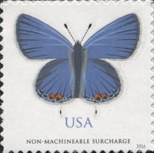 US125.16.jpg