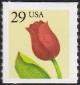 Colnect-5097-282-Tulip.jpg