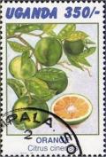 Colnect-4042-357-Orange.jpg