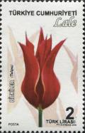 Colnect-5612-512-Tulipa.jpg