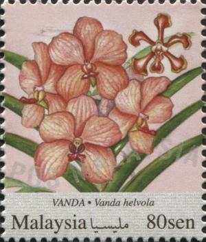 Colnect-4339-603-Vanda.jpg