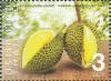 Colnect-5906-785-Durian.jpg