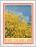 Colnect-171-715-Broom.jpg