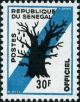 Colnect-1990-880-Baobab.jpg