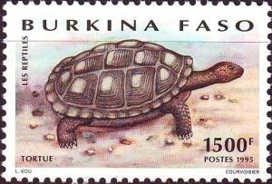 Colnect-2631-939-Turtle.jpg