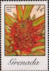 Colnect-2411-129-Ananas-Comosus.jpg