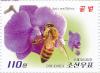 Colnect-3266-446-Honeybee-Apis-mellifera-orchids.jpg