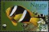Colnect-5526-543-Yelllowtail-Clownfish-Amphiprion-clarkii-Merten-s-Carpet-.jpg