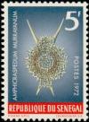 Colnect-897-887-Radiolarian-Amphicraspedum-murrayanum.jpg