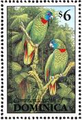 Colnect-1748-073-Red-necked-Amazon-Amazona-arausiaca.jpg