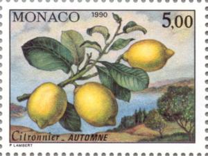 Colnect-149-458-Branch-of-a-lemon-tree-in-Autumn.jpg