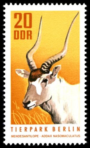 Colnect-1978-317-Addax-Addax-nasomaculatus.jpg