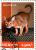 Colnect-4021-327-Abyssinian-cat.jpg