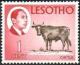 Colnect-1730-055-King-Moshoeshoe-II-and-Cattle-Bos-primigenius-taurus.jpg