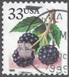 Colnect-4060-211-Fruit-Berries-Blueberries.jpg