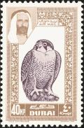 Colnect-1648-757-Barbary-Falcon.jpg