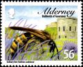 Colnect-5452-005-Solitary-Bee-Halictus-scabiosae-.jpg