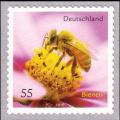 Colnect-564-991-Honey-Bee-Apis-mellifica.jpg