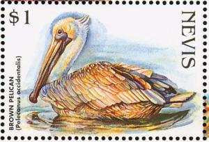 Colnect-3798-887-Brown-pelican.jpg