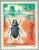 Colnect-157-860-Black-Beetle-Amara-aulica.jpg