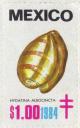 Colnect-2207-011-White-banded-bubble-Hydatina-albocincta.jpg