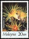 Colnect-1052-705-Tube-Coral-Tubastrea-sp.jpg