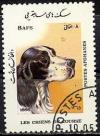 Colnect-1186-489-Spaniel-Canis-lupus-familiaris.jpg