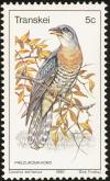 Colnect-1456-718-Red-chested-Cuckoo-Cuculus-solitarius.jpg