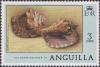 Colnect-1584-170-Queen-Conch-Lobatus-gigas.jpg